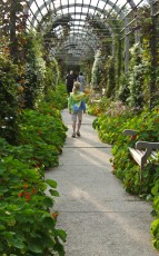 Mykala walking through the arches at the Walker