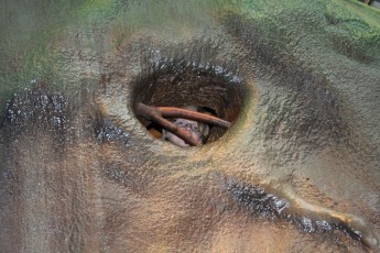 Playing in the Children's Museum