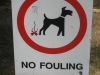 No Fouling