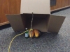 Trap for Frenchies