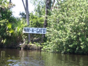 Scenes from the trip on Rick's boat