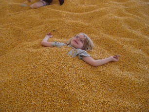 Mykala playing in the corn pit at Sever's Corn Maze