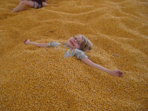 Mykala playing in the corn pit at Sever's Corn Maze