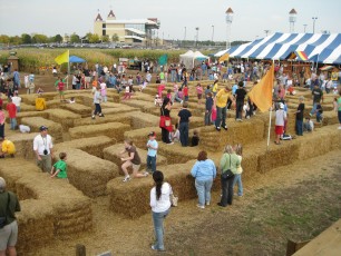 The haybale maze at Sever's Corn Maze