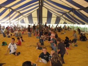 An overview of the corn pit