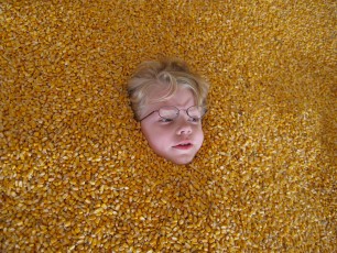 Mykala buried in corn