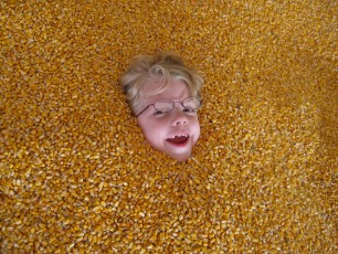 Mykala buried in corn