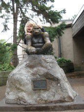 Mykala posing with a gorilla at Como Zoo