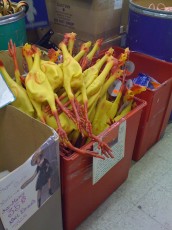 Rubber chickens for sale at Axman Surplus