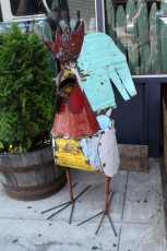 A rooster on the street