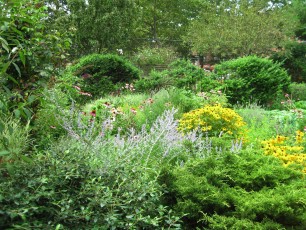 A community garden in Park Slope