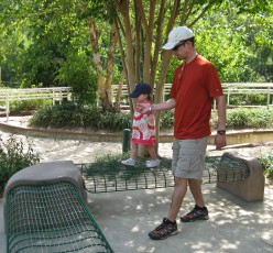 Pronto and Bailey walking along a bench