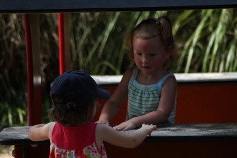 Bailey and a persistent girl at the park