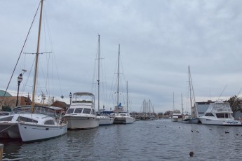 A view of a marina in Annapolis.