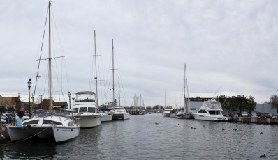 A view of a marina in Annapolis.