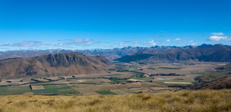 This reminded us of Settlers of Catan