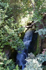 A waterfall on the One Mile track.