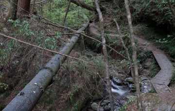 Old pipe used for hydraulic mining