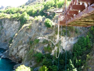 Greg takes the plunge