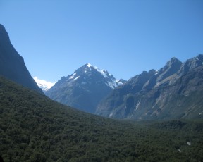 on the way to Milford Sound