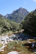 A “track” is a hiking path; Routeburn Track is an arduous one but we only did 30 min!
