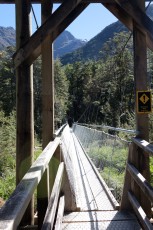 Bridge on Routeburn Track