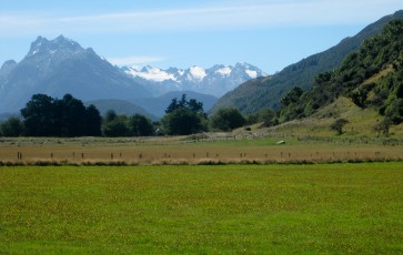 Yes, that is the name of the area! Looks like it is aptly named