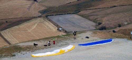 We did not do them this time, but Corinne did one in 2004