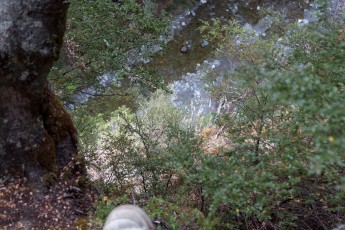 Mt. Crichton Loop Track