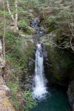 Waterfall, Mt. Crichton Loop Track