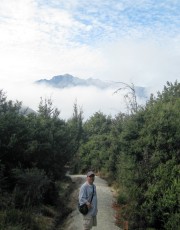 from Mt. Crichton Loop Track