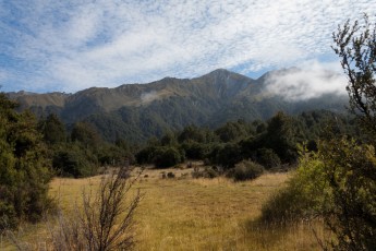 Mt. Crichton Loop Track