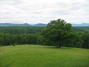 A view of rolling hills from Biltmore