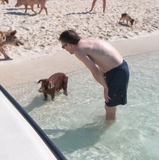 Swimming Pigs