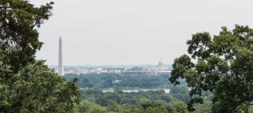 Arlington National Cemetary