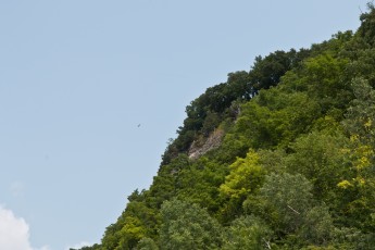 Bluffs along the Mississippi