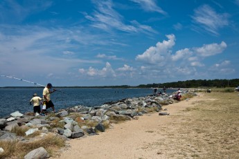 View of the Potomac shore