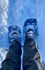 Snow Shoeing