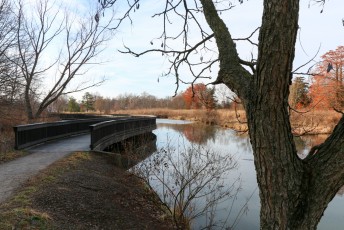 Thursday Morning Walk