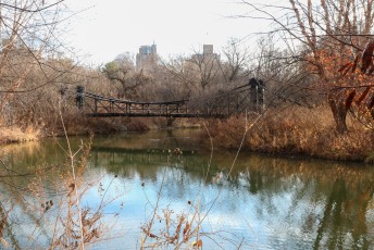 Thursday Morning Walk
