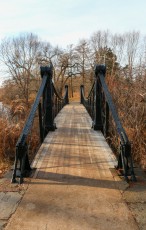Thursday Morning Walk