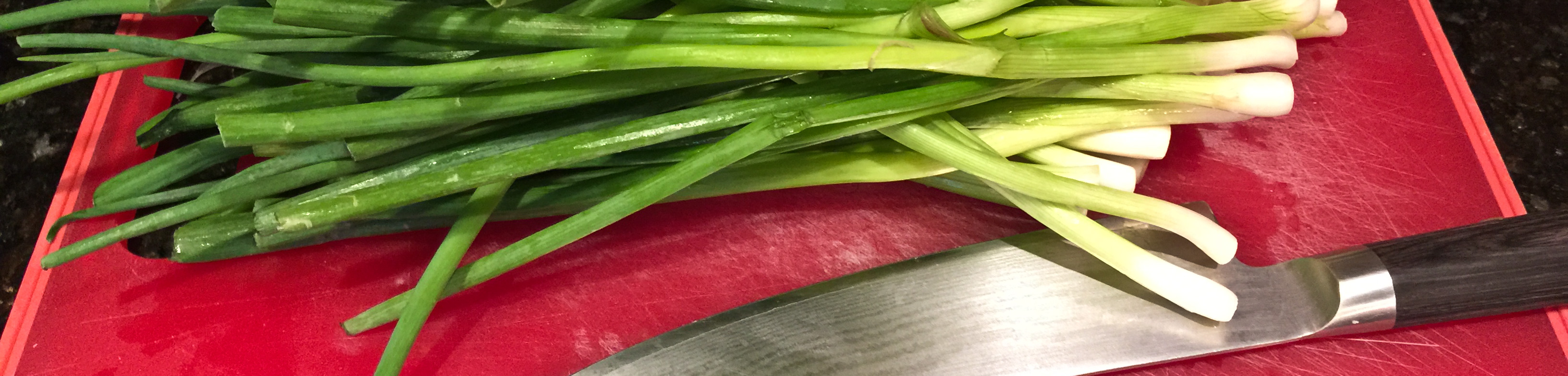 Braised Chicken and Scallion Puree