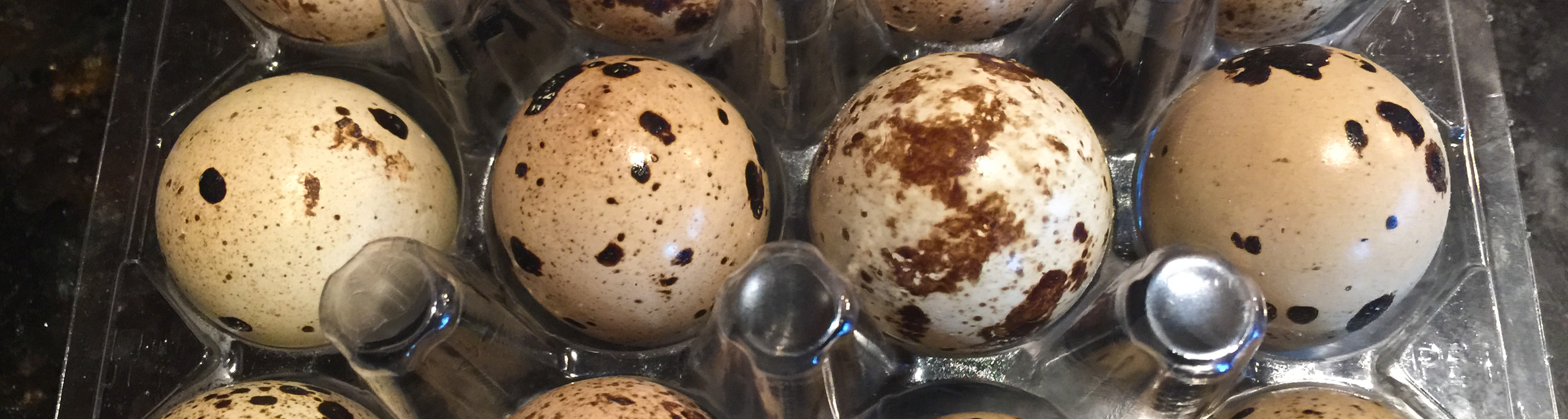 Quail Eggs