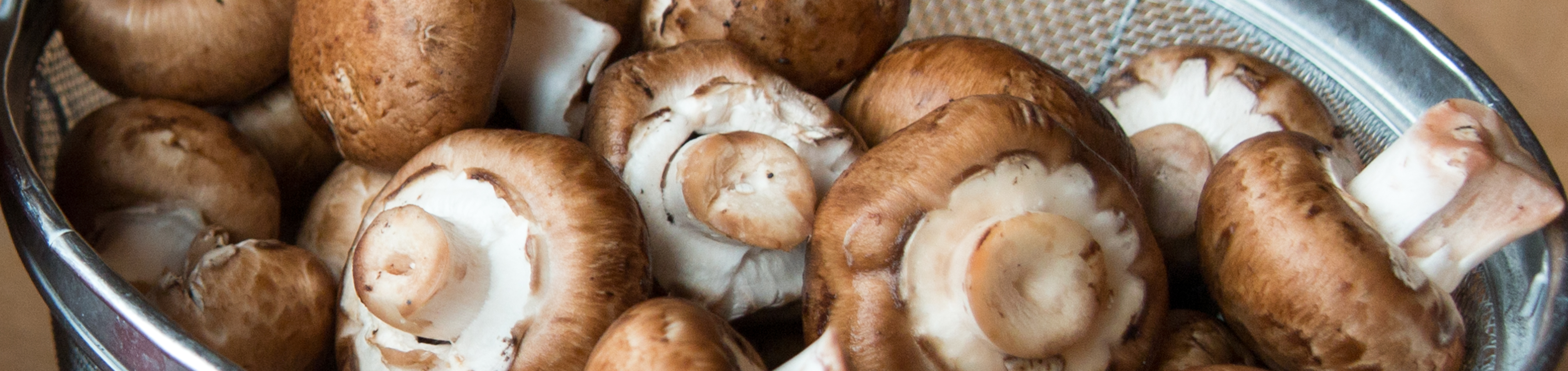 Mushroom Soup