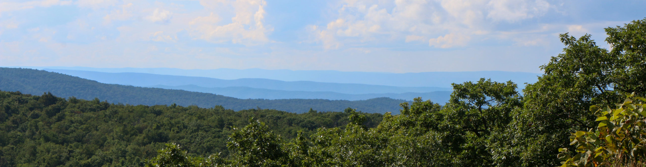 Skyline Drive Outing