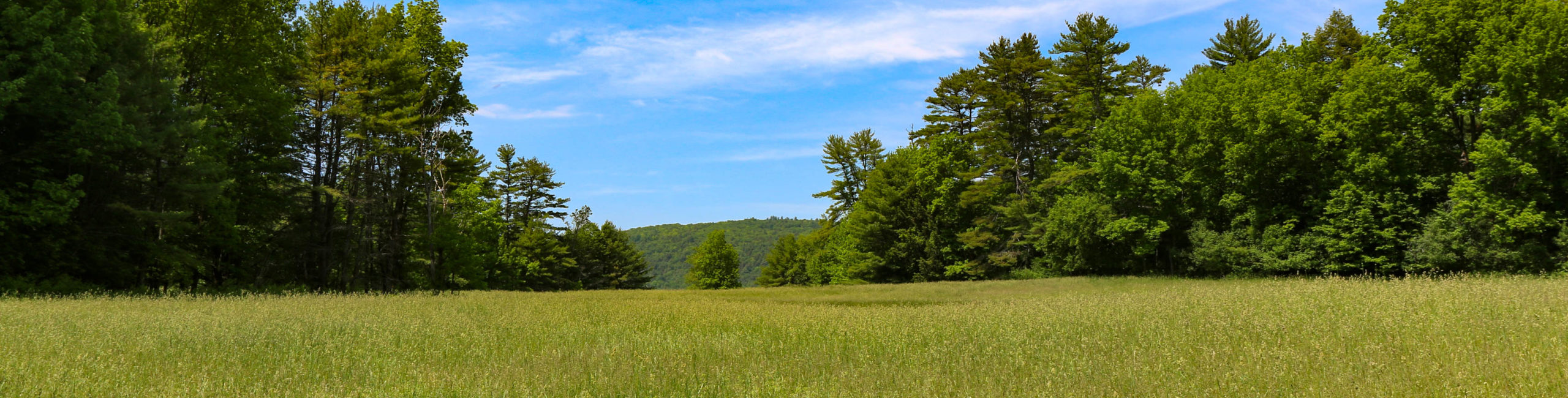 Hazen Trail Hike